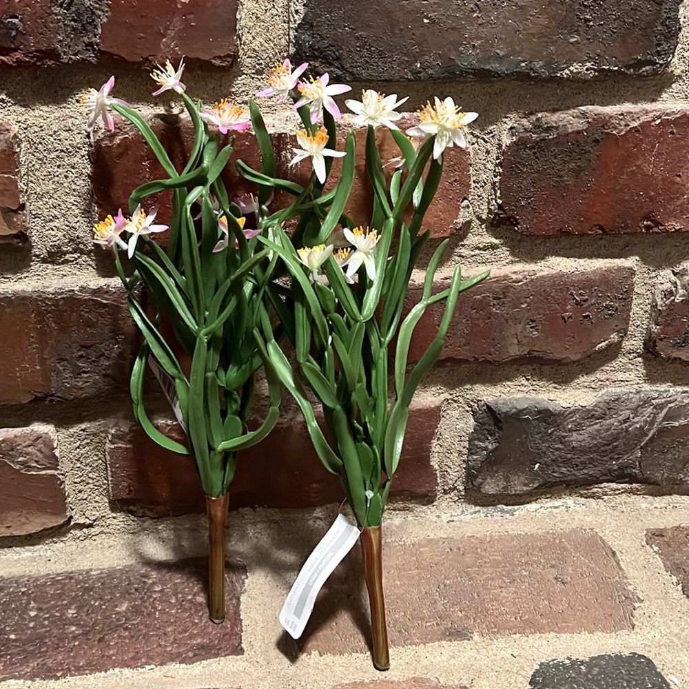 Spring/Summer Decor - Picture 5 of 5